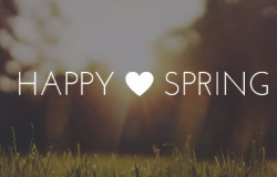 happy spring by amy rachiele